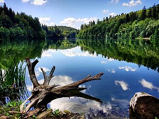 Herrenbachstausee